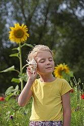 Mädchen hört an Sonnenblume